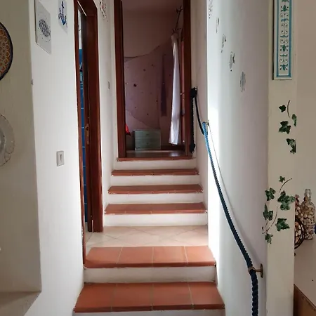 Stella Costa Paradiso